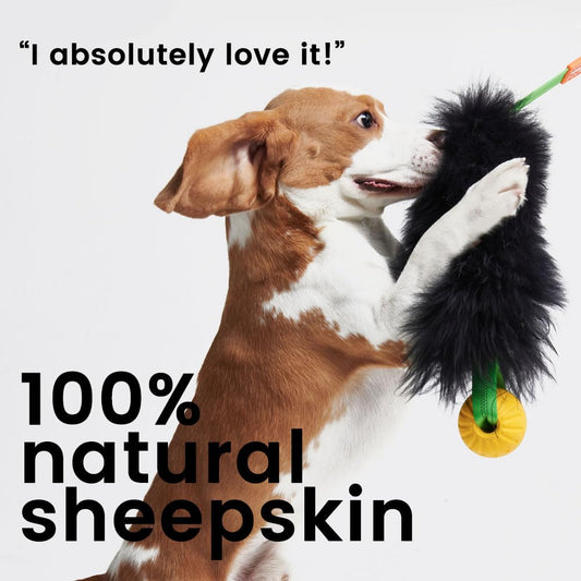 Dog Rope Tug Toy | Bungee Chaser & 100% Sheepskin