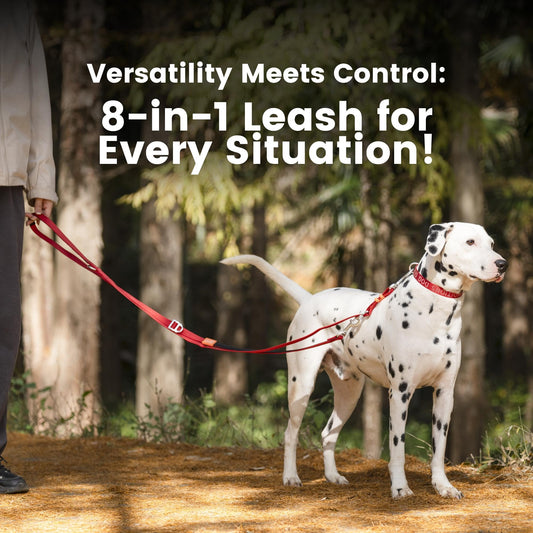 Multifunctional Hands Free Dog Leash | Crossbody Waist Leash for Walking