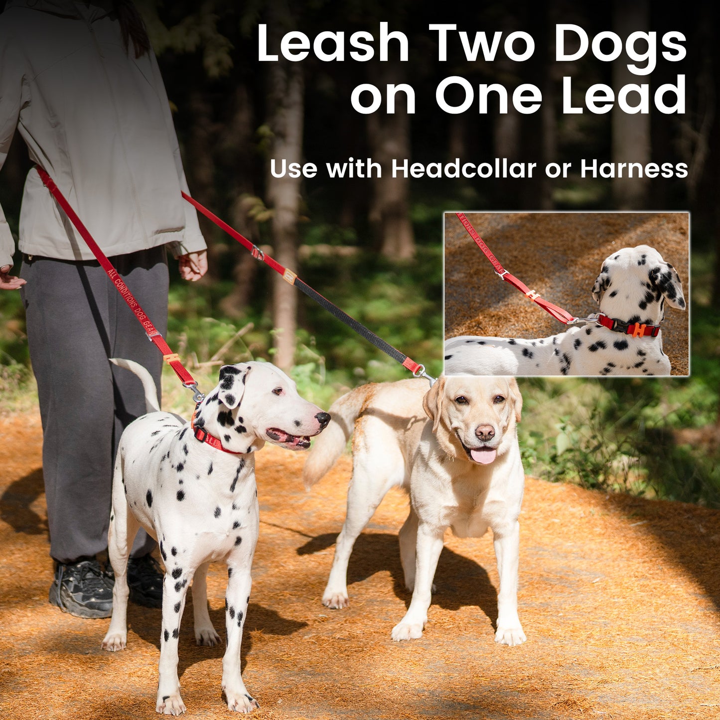 Multifunctional Hands Free Dog Leash | Crossbody Waist Leash for Walking