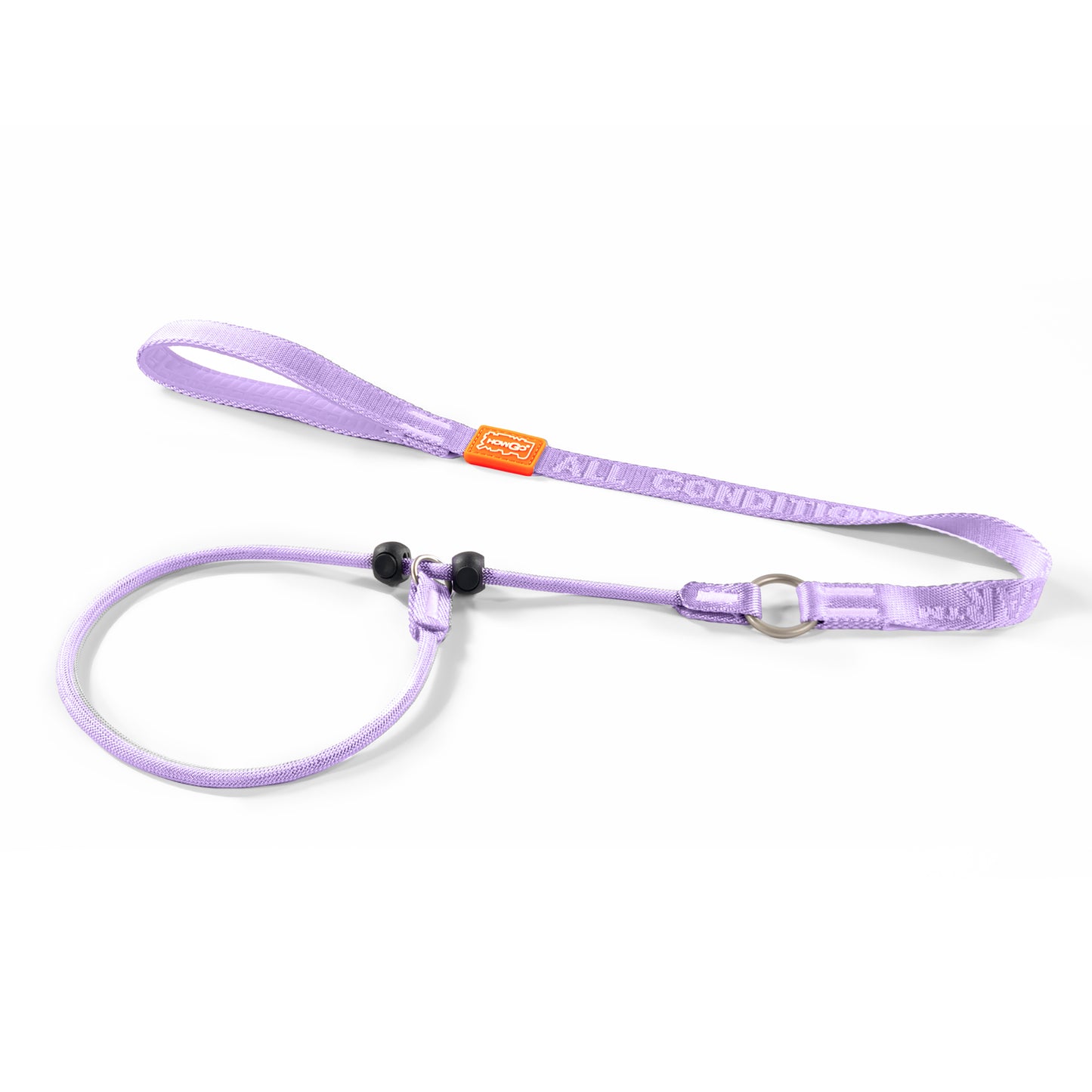 Dog Slip Lead Dog Leash for Training | 360° Swivel Anti-Tangle