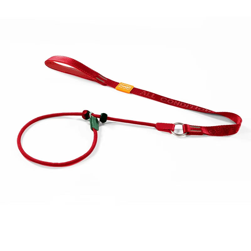 Dog Slip Lead Dog Leash for Training | 360° Swivel Anti-Tangle