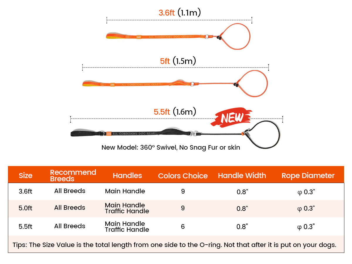 Dog Slip Lead Dog Leash for Training | 360° Swivel Anti-Tangle