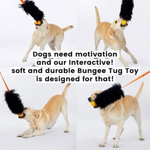 Dog Rope Tug Toy | Bungee Chaser & 100% Sheepskin