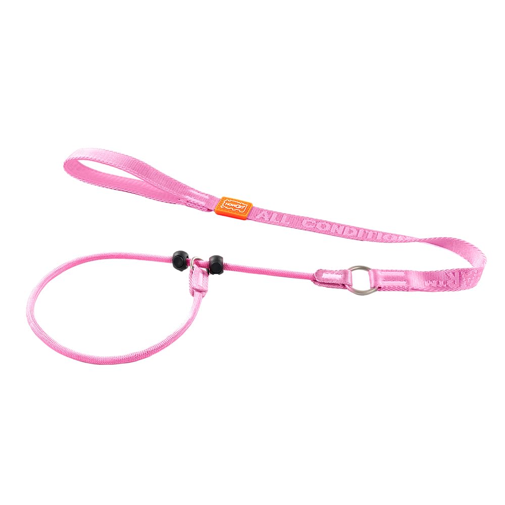 Howgo Dog Slip Lead Dog Leash, Training Leash, No-Pull Lightweight Slip Lead and Collar, Heavy Duty & Durable, Padded Handle, for All Breeds