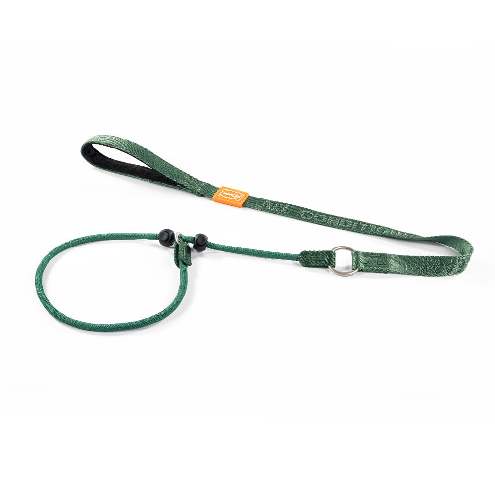 Howgo Dog Slip Lead Dog Leash, Training Leash, No-Pull Lightweight Slip Lead and Collar, Heavy Duty & Durable, Padded Handle, for All Breeds