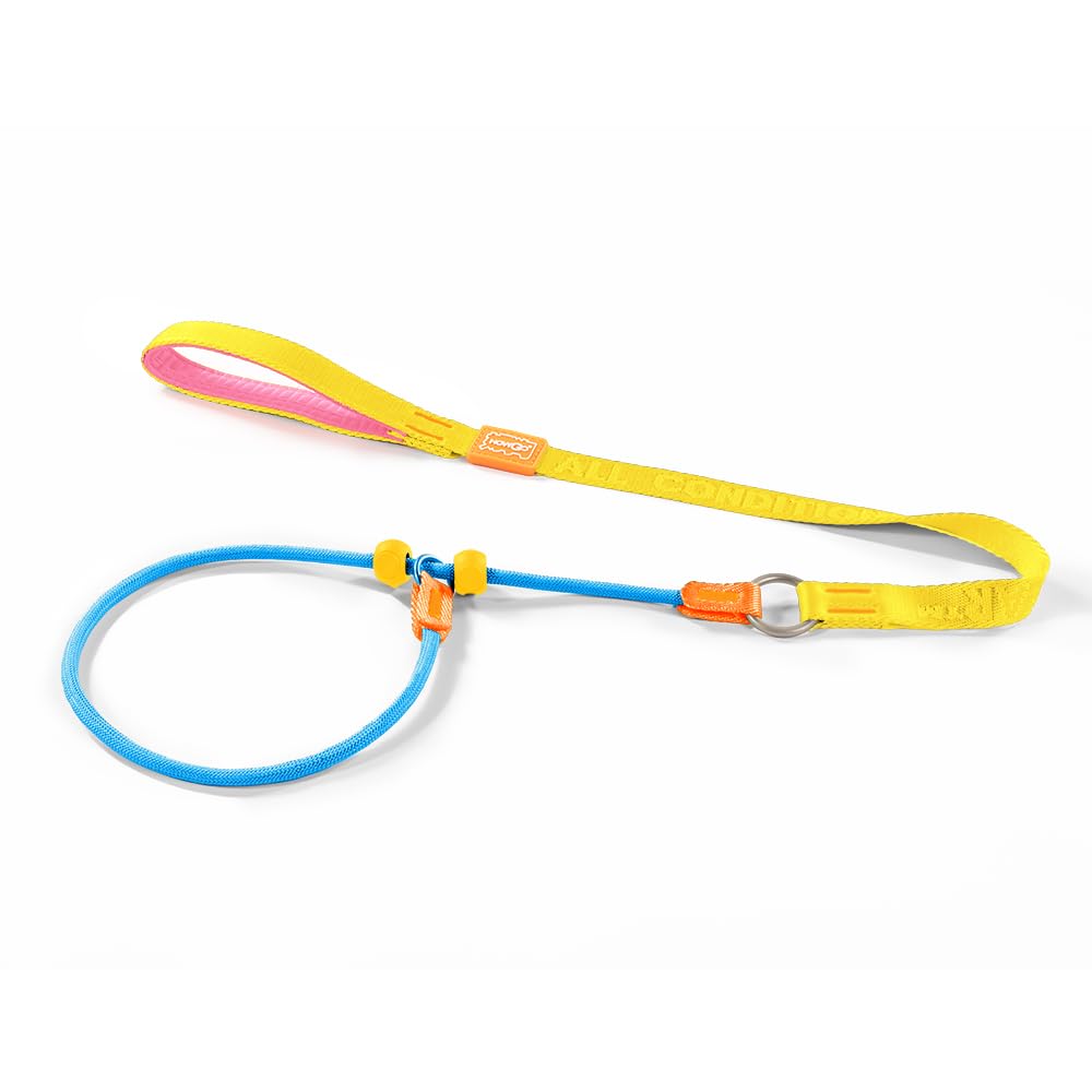 Howgo Dog Slip Lead Dog Leash, Training Leash, No-Pull Lightweight Slip Lead and Collar, Heavy Duty & Durable, Padded Handle, for All Breeds