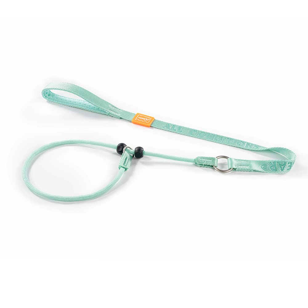 Howgo Dog Slip Lead Dog Leash, Training Leash, No-Pull Lightweight Slip Lead and Collar, Heavy Duty & Durable, Padded Handle, for All Breeds