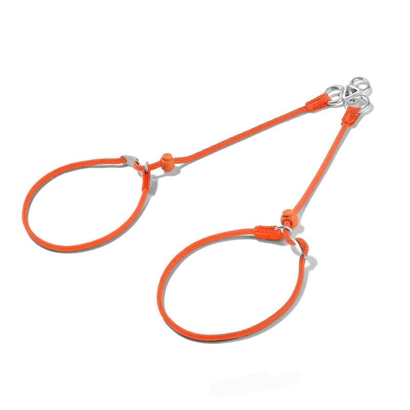 Howgo Double Slip Leash Slip Lead with Double Handles| Dual Dog Leash Lead for 2 Dogs,360° Swivel No Tangle | Dog Training Leash and Collar