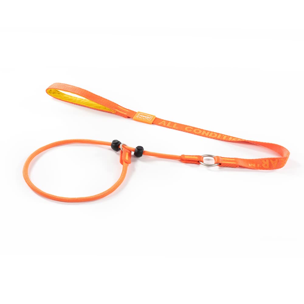 Howgo Dog Slip Lead Dog Leash, Training Leash, No-Pull Lightweight Slip Lead and Collar, Heavy Duty & Durable, Padded Handle, for All Breeds