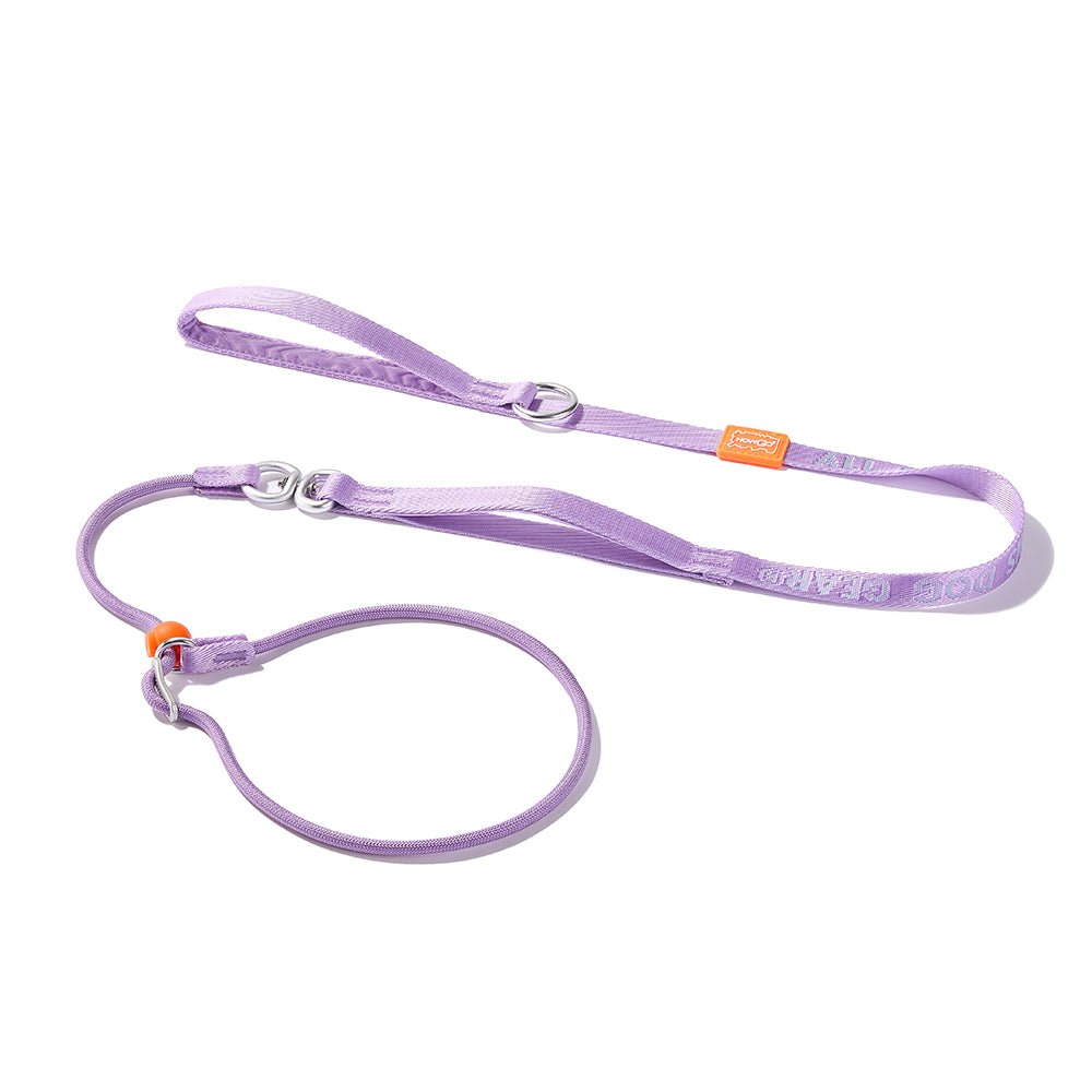 Dog Slip Lead Dog Leash for Training | 360° Swivel Anti-Tangle