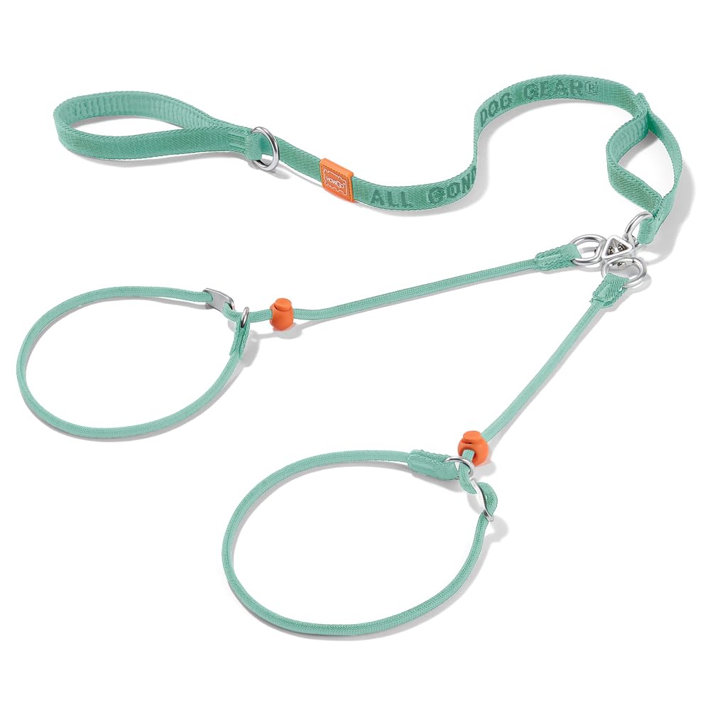 Howgo Double Slip Leash Slip Lead with Double Handles| Dual Dog Leash Lead for 2 Dogs,360° Swivel No Tangle | Dog Training Leash and Collar
