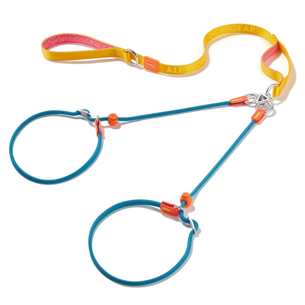 Howgo Double Slip Leash Slip Lead with Double Handles| Dual Dog Leash Lead for 2 Dogs,360° Swivel No Tangle | Dog Training Leash and Collar