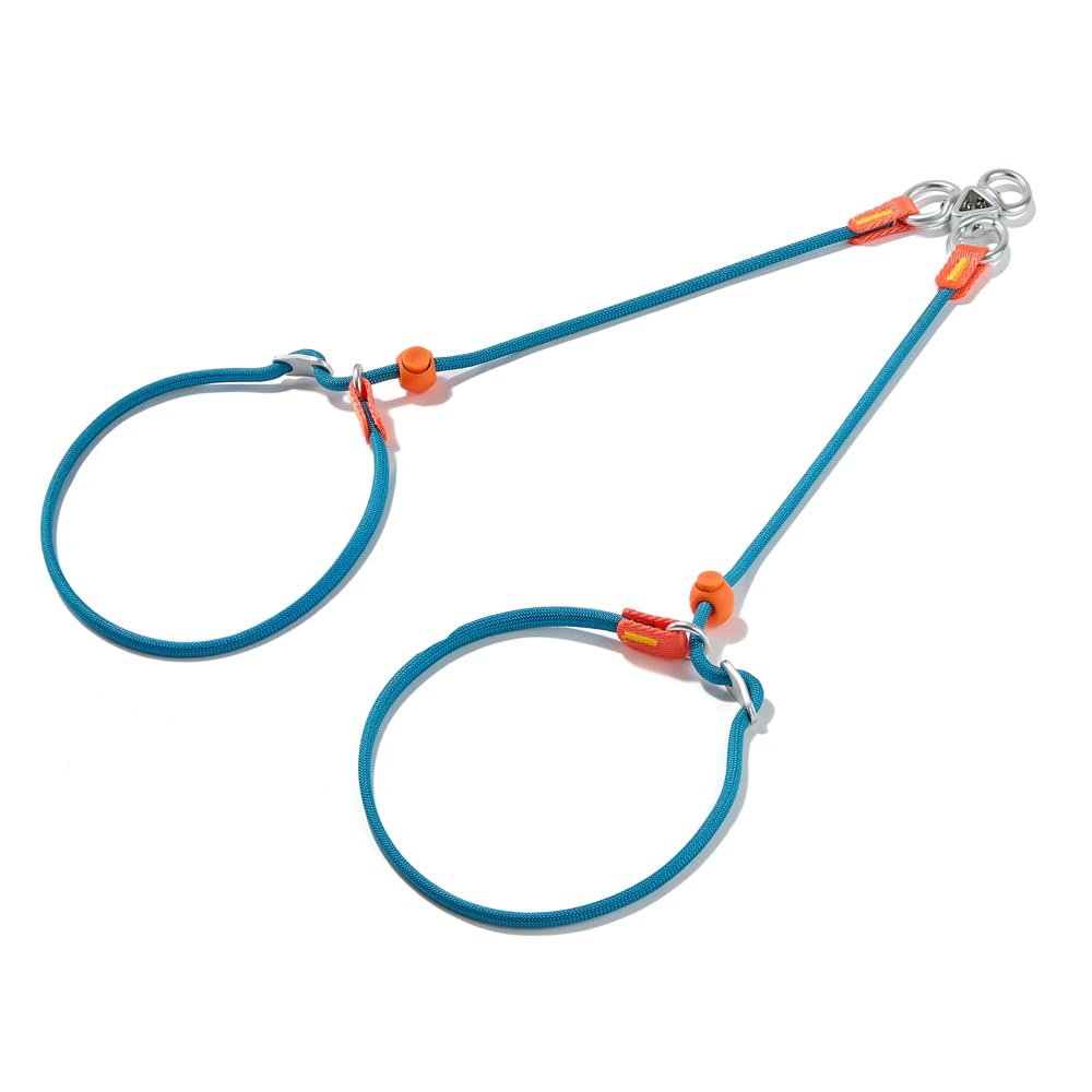 Howgo Double Slip Leash Slip Lead with Double Handles| Dual Dog Leash Lead for 2 Dogs,360° Swivel No Tangle | Dog Training Leash and Collar