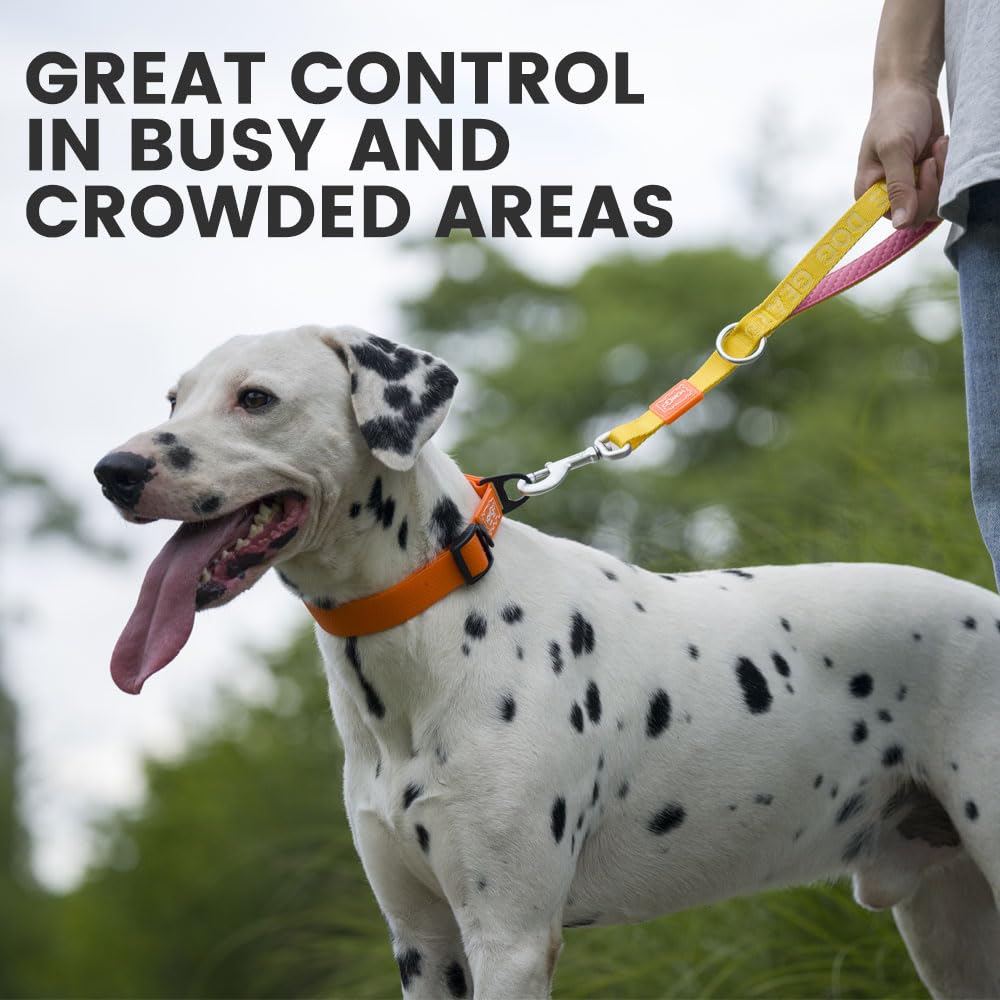 HOWGO Short Dog Leash - Aviation Aluminum Hook Lightweight Padded Handles Rope Traffic Leashes for Dogs for Large Dogs
