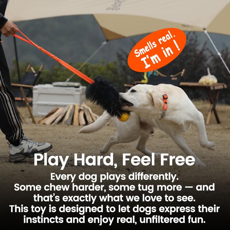 Dog Rope Tug Toy | Bungee Chaser & 100% Sheepskin