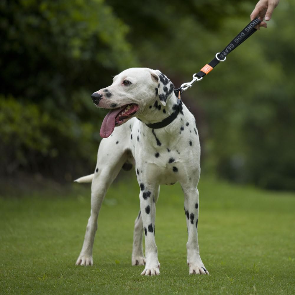 HOWGO Short Dog Leash - Aviation Aluminum Hook Lightweight Padded Handles Rope Traffic Leashes for Dogs for Large Dogs