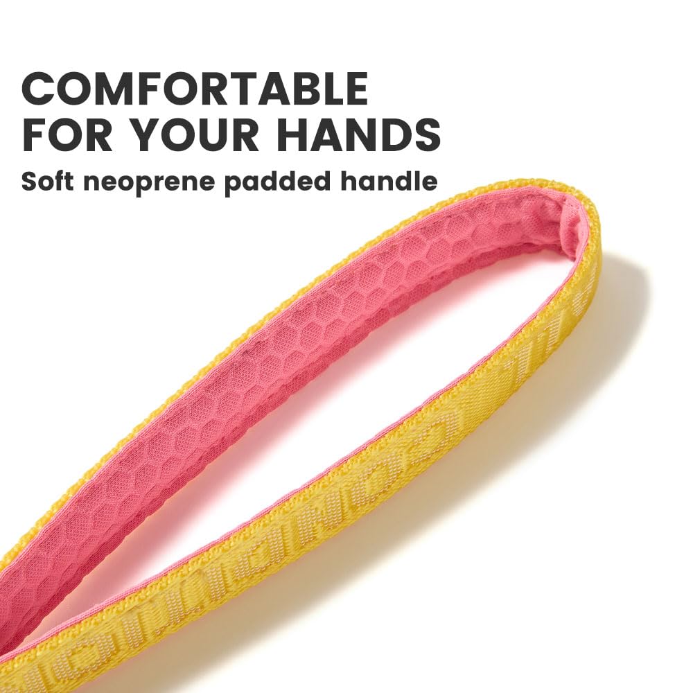 HOWGO Short Dog Leash - Aviation Aluminum Hook Lightweight Padded Handles Rope Traffic Leashes for Dogs for Large Dogs