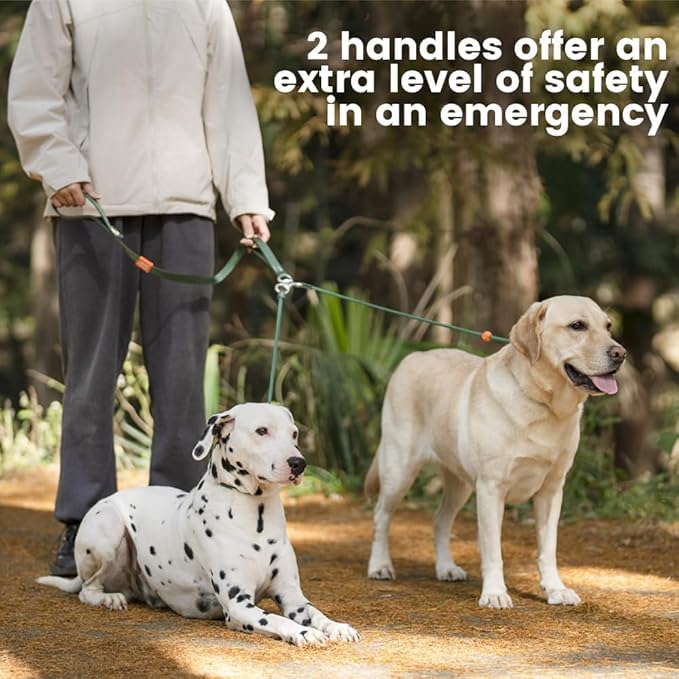 Howgo Double Slip Leash Slip Lead with Double Handles| Dual Dog Leash Lead for 2 Dogs,360° Swivel No Tangle | Dog Training Leash and Collar