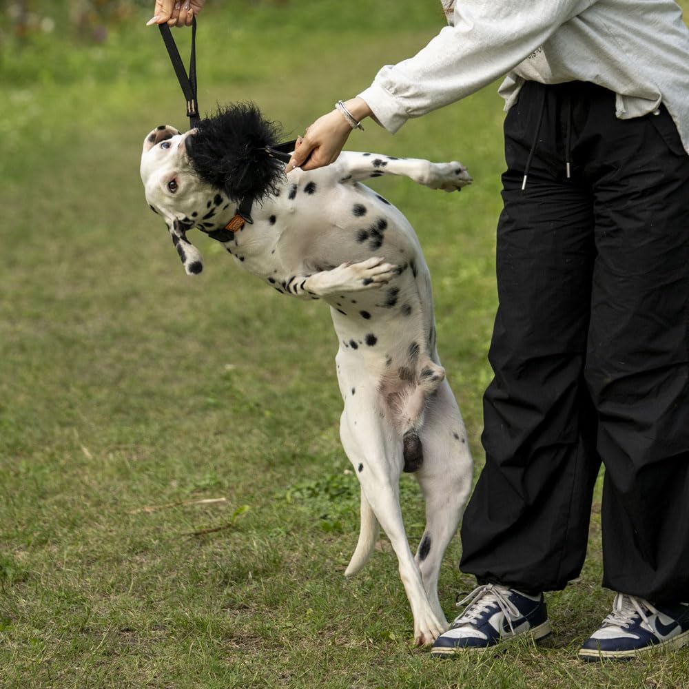 Dog Rope Tug Toy | Double Handles & 100% Sheepskin