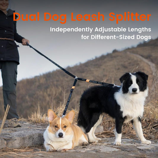 Double Dog Leash, No Tangle | Retractable Individually