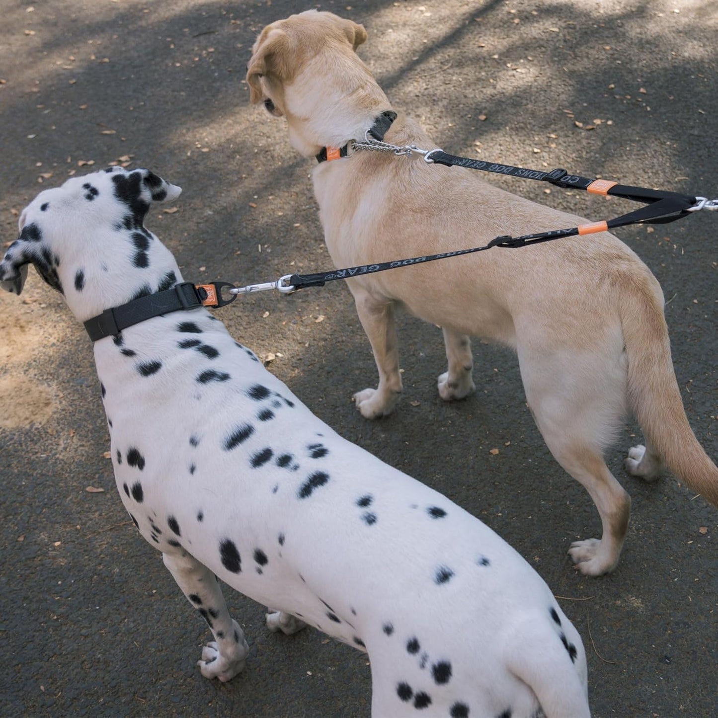 HOWGO Double Dog Leash, No Tangle 360° Swivel, Adjustable Two Padded Handles, Double Clip Dog Leash Coupler Splitter for All Breeds