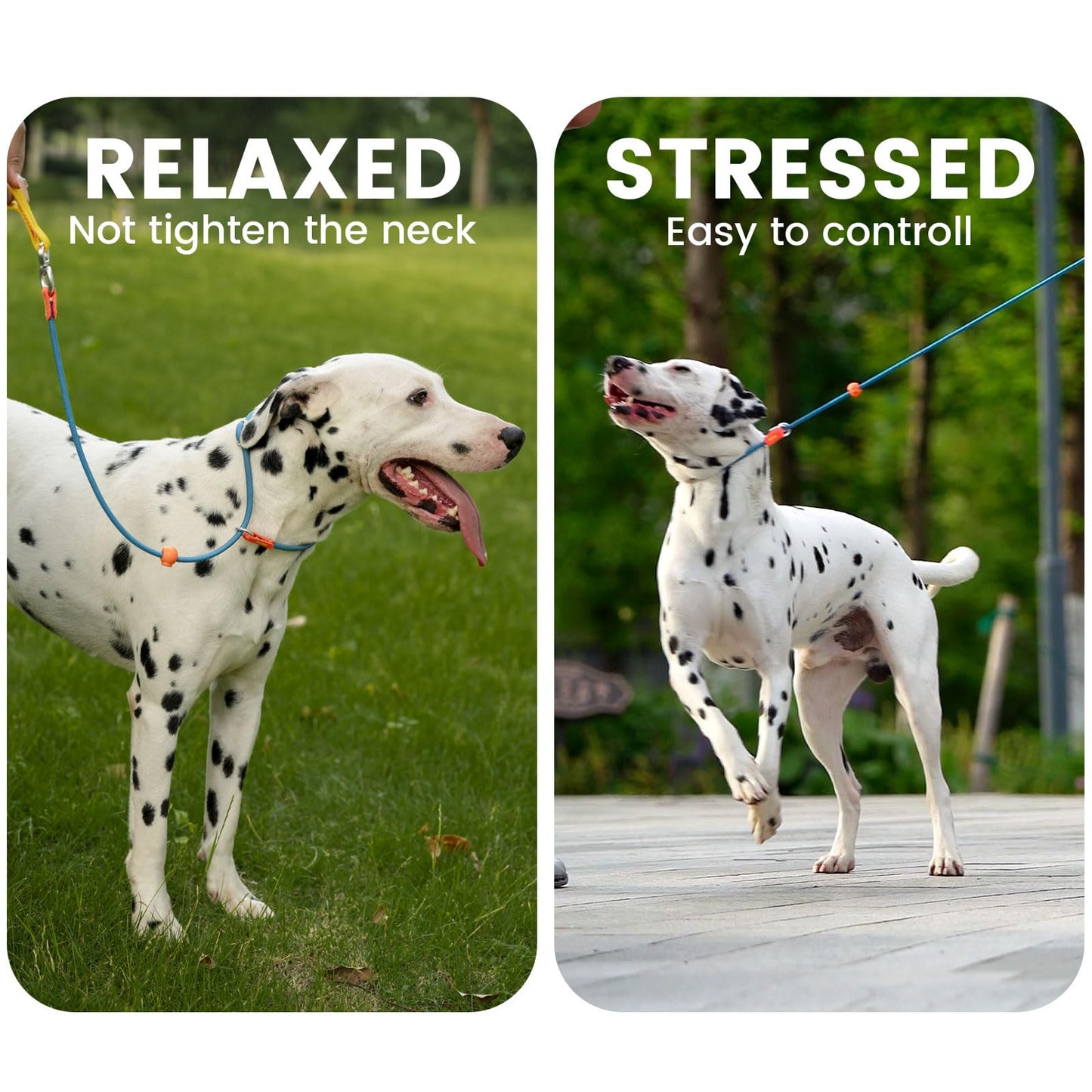 Howgo Dog Slip Lead Dog Leash, Training Leash, No-Pull Lightweight Slip Lead and Collar, Heavy Duty & Durable, Padded Handle, for All Breeds