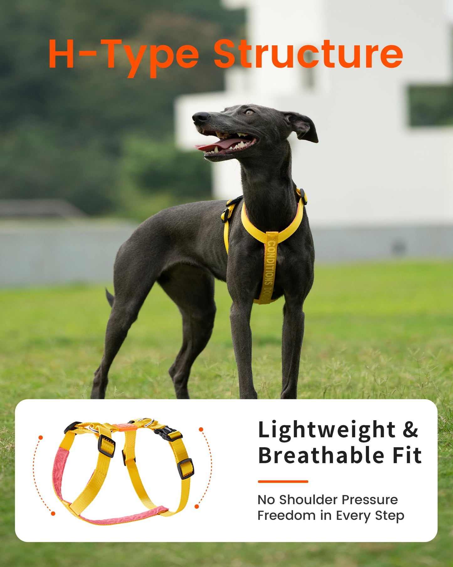 HOWGO Dog Harness,Adjustable No Pull Harness,Aluminum Rings