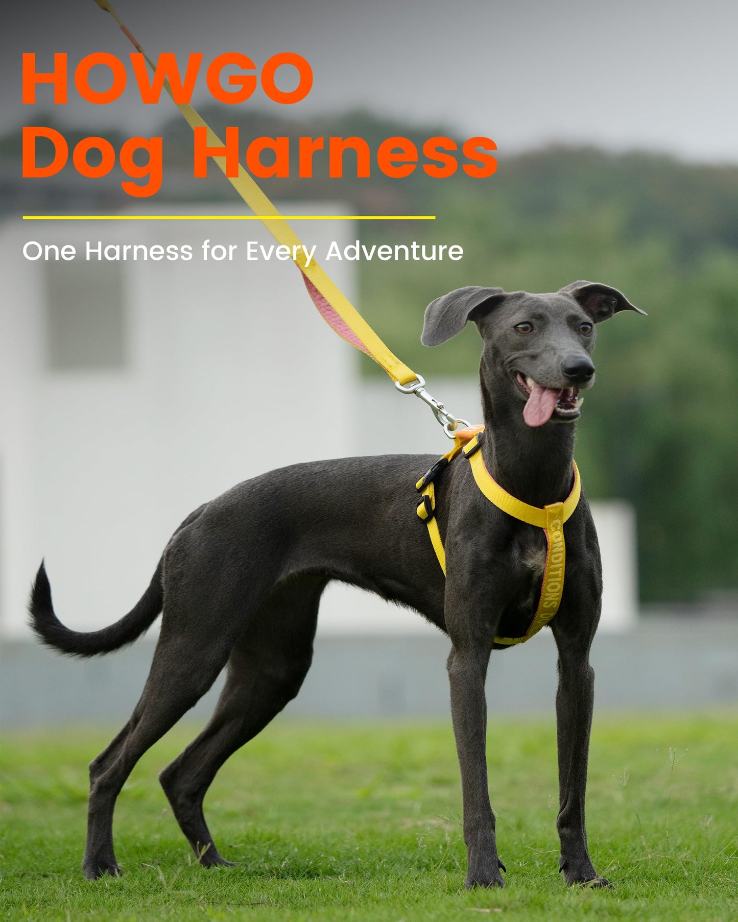HOWGO Dog Harness,Adjustable No Pull Harness,Aluminum Rings