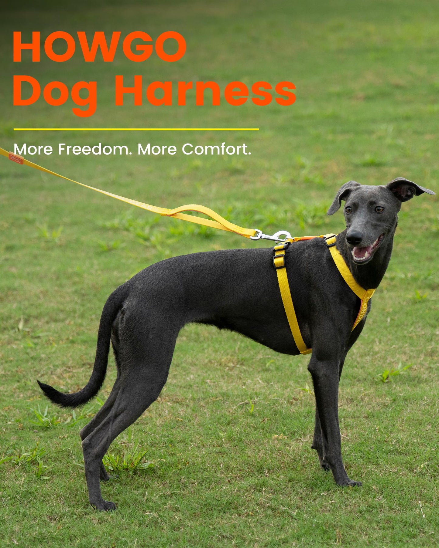 HOWGO Dog Harness,Adjustable No Pull Harness,Aluminum Rings